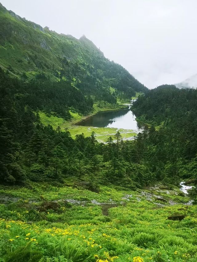 大理花甸壩
