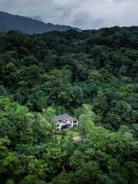 住進森林秘境，邂逅寧靜生活|青城山無境山居