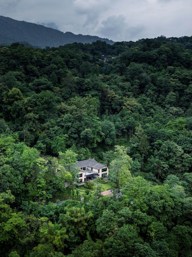 住進森林秘境，邂逅寧靜生活|青城山無境山居