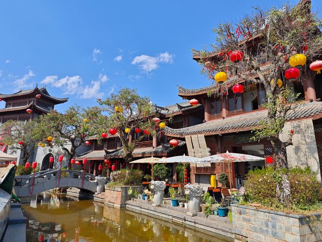 普洱市：茶山雲霧裡藏著嘅終極治癒密碼！