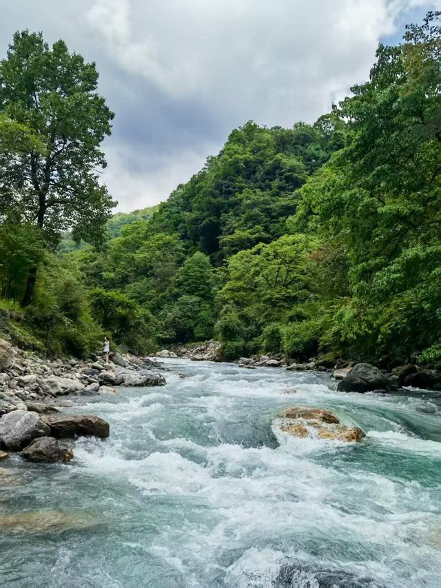 喇叭河｜濾鏡碎咗一地，綠野滿分，童話零分||