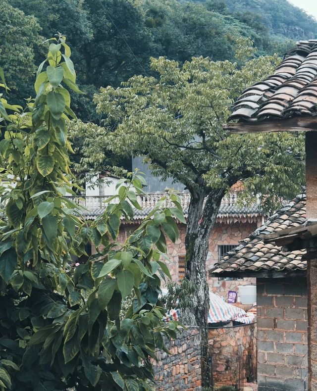 昆明周邊｜神秘石頭寨 阿詩瑪起源地 探秘