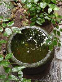 貴州避暑天花板！烏蒙大草原嘅「十方雲舍」靚到窒息