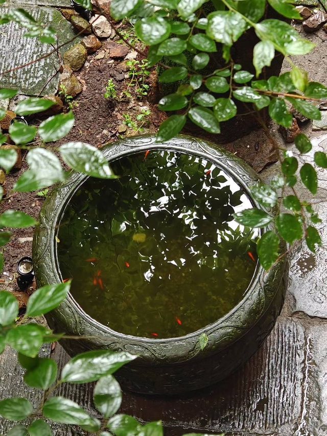 貴州避暑天花板！烏蒙大草原嘅「十方雲舍」靚到窒息