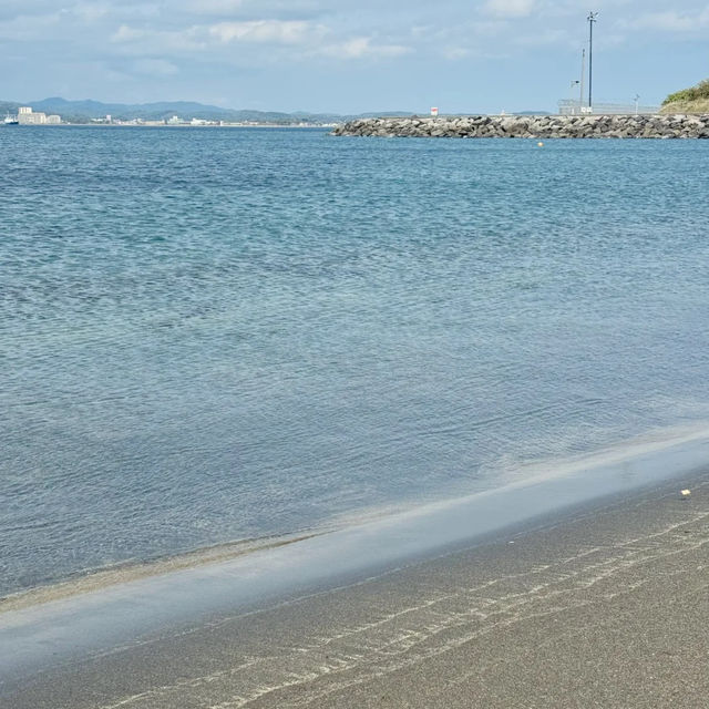 【千葉舘山一日遊！海風與杜鵑花的治愈之旅】