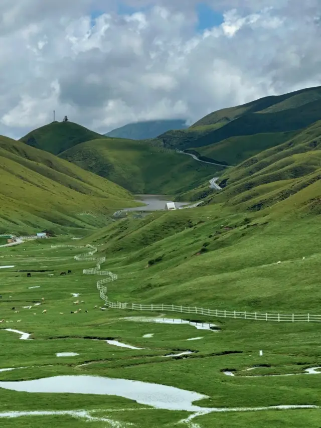 This is not Altay, but Qijiang's Dahecao Mountain