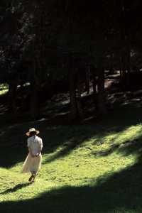 夏天來北疆旅行