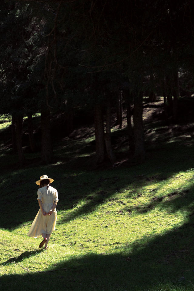 夏天來北疆旅行 夏天來北疆旅行