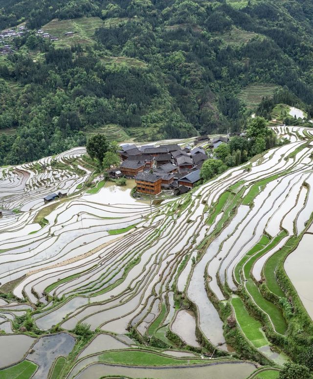 雲端梯田打卡攻略