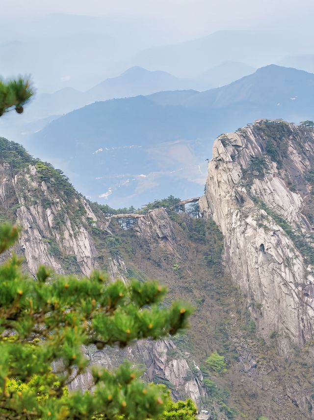 風在,雲在,天堂在——華東最後一片原始森林嘅秘境召喚 風在,雲在,天堂在——華東最後一片原始森林嘅秘境召喚