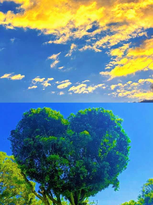 莆田九龍谷玻璃漂流狂歡，夏日避暑人氣爆棚！