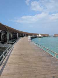 Incredible Experience at Westin Miriandhoo Resort