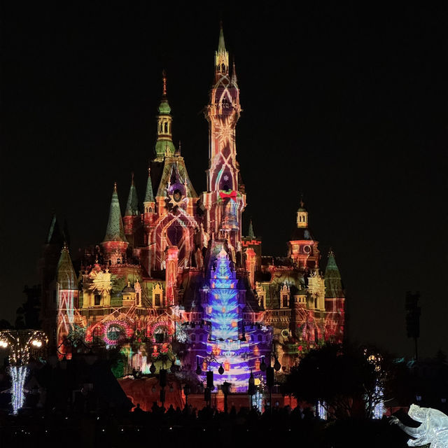 【上海ディズニー】夜のエンターテインメント🏰イルミネイト