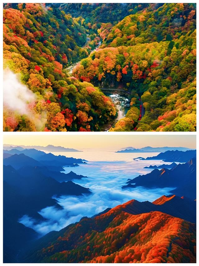 玩轉秦嶺深秋雲海美景盡顯
