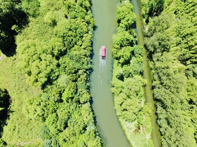 水城慢生活,雙倍綠色暴擊!溱湖濕地+李中森林一日遊。 水城慢生活,雙倍綠色暴擊!溱湖濕地+李中森林一日遊。