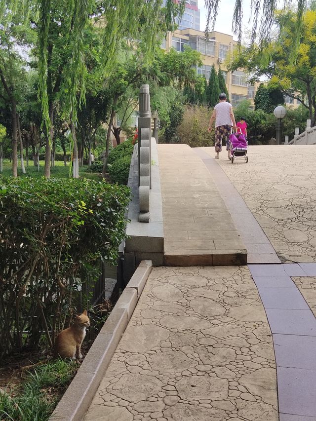 張面河畔私藏美景