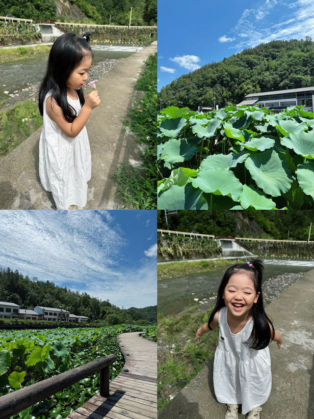 陝西|石泉-漢陰-紫陽佛系遛娃路線 陝西|石泉-漢陰-紫陽佛系遛娃路線