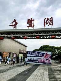 湖畔清影,白鷺棲息的詩意棲居:龍岩千鷺湖景區