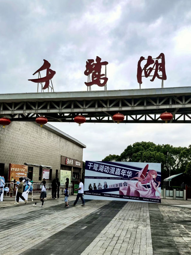 湖畔清影,白鷺棲息的詩意棲居:龍岩千鷺湖景區 湖畔清影,白鷺棲息的詩意棲居:龍岩千鷺湖景區