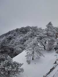 黃山冬日仙境！保姆級雪景攻略+冷門機位大公開 杭州出發2h直達！黃山雪景封神了家人們！ 