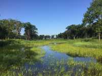 美國印第安納沙丘國家公園3日旅遊攻略