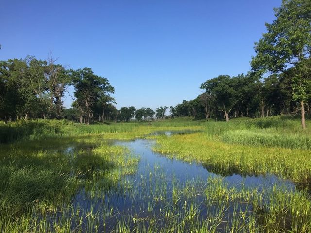 美國印第安納沙丘國家公園3日旅遊攻略 美國印第安納沙丘國家公園3日旅遊攻略