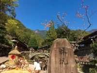 永嘉3日2夜精華遊攻略