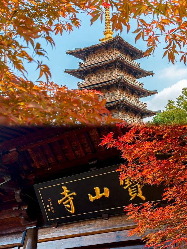 小眾賞楓地推薦不在京都，就在上海！