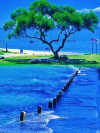 廈門黃厝海灘