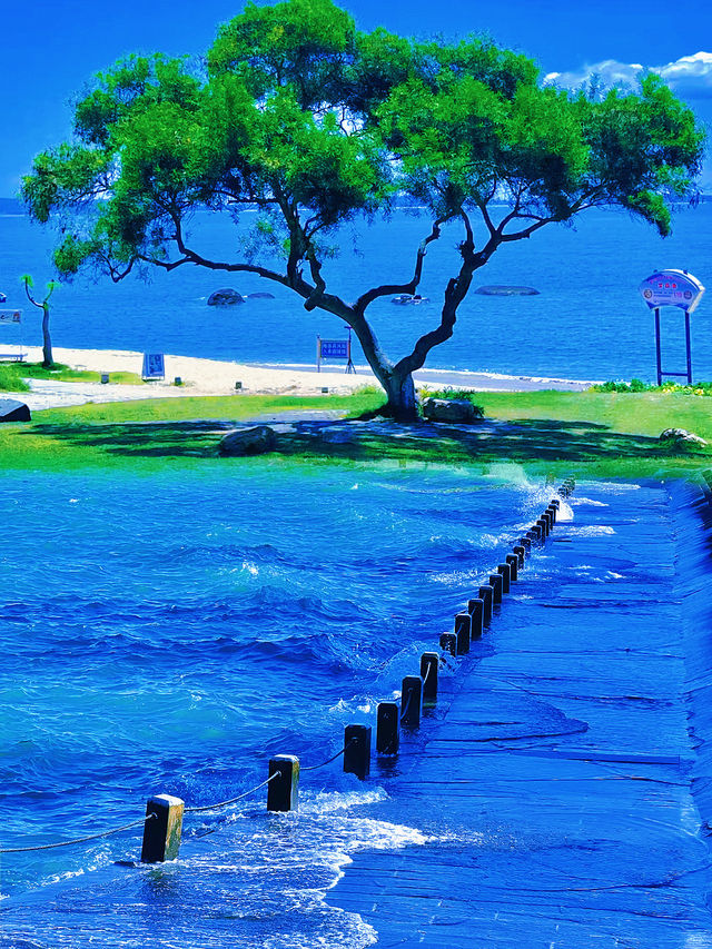 廈門黃厝海灘