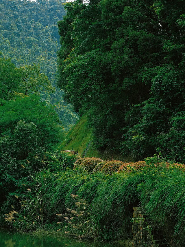 長沙小眾徒步秘境 | 桃花嶺，藏在城市旁的山野趣處 