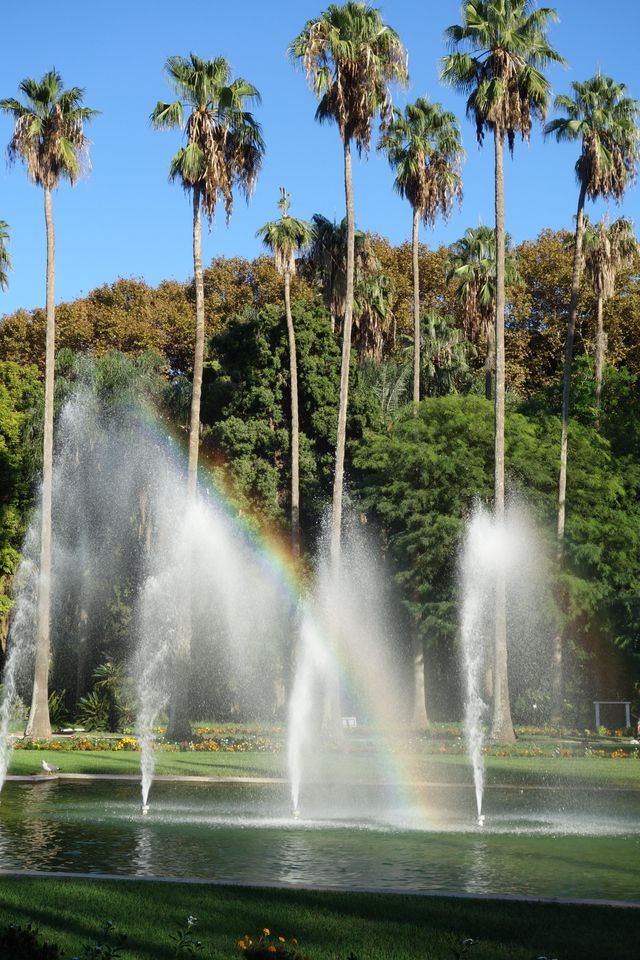 在阿爾及利亞植物園，我偷到了滿溢的幸福
