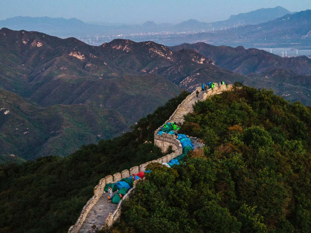 Великая Китайская Сонная 🇨🇳✨