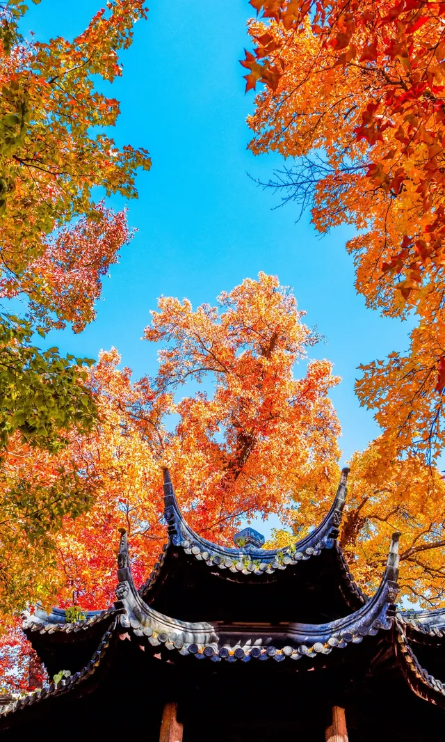 全屏封神挑戰｜已經開始期待蘇州的秋天了
