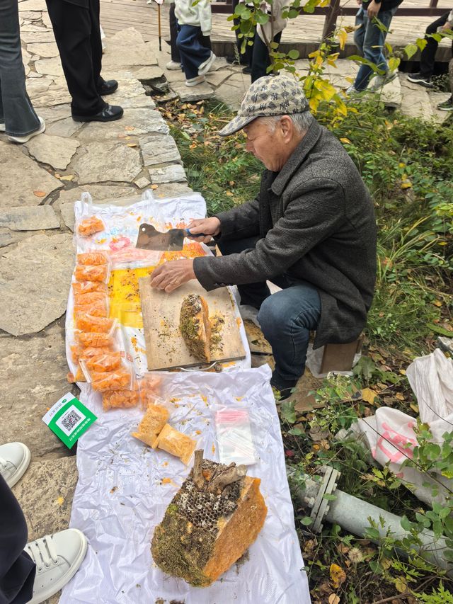 坡峰嶺的紅葉真的很美