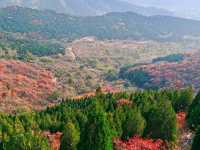 濟南賞紅葉必去｜郎茂山·蠍子山絕美秋色大公開