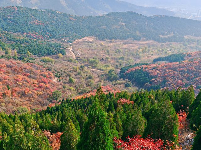 濟南賞紅葉必去｜郎茂山·蠍子山絕美秋色大公開