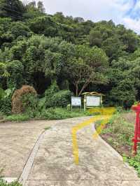 登高眺望漳州長泰巖溪全景