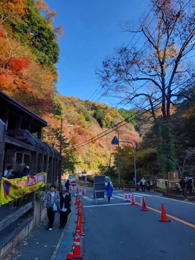 I thought Kyoto was already beautiful enough, until I came to Osaka...