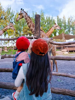 Семейные поездки по Пекину! Сезон сбора урожая превращает осень в сказку.