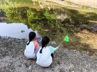 2024端午餘姚文化之旅