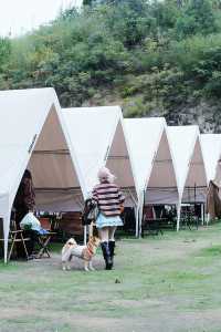 什麼在紅山楂酒店竟然不能躺平