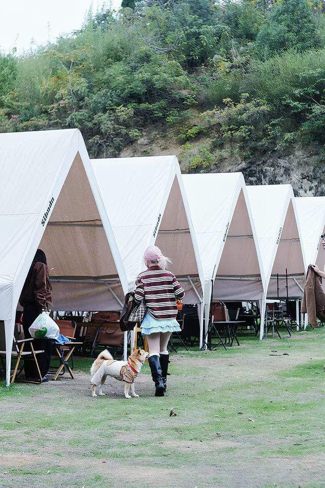 什麼在紅山楂酒店竟然不能躺平 什麼在紅山楂酒店竟然不能躺平