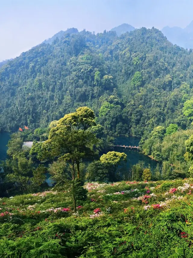 Zhaoqing Travel Made Easy and Affordable: 5 Days of Nonstop Fun