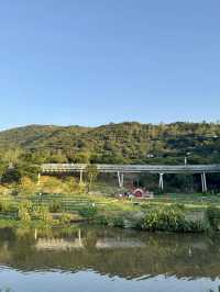 金灣木頭沖|走進童話世界