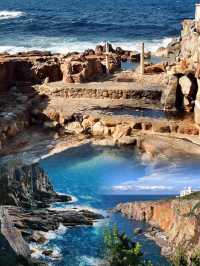 親子必看!和歌山高端不費媽玩法·3天2晚全攻略