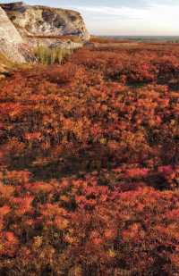 蔣福山紅葉林攻略:京津冀秋日秘境,漫山紅楓美到窒息!