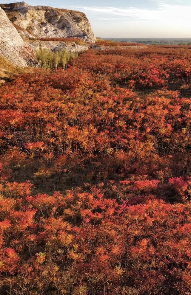 蔣福山紅葉林攻略:京津冀秋日秘境,漫山紅楓美到窒息! 蔣福山紅葉林攻略:京津冀秋日秘境,漫山紅楓美到窒息!