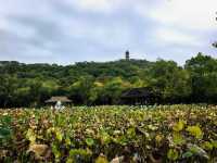 西施故里小眾打卡點