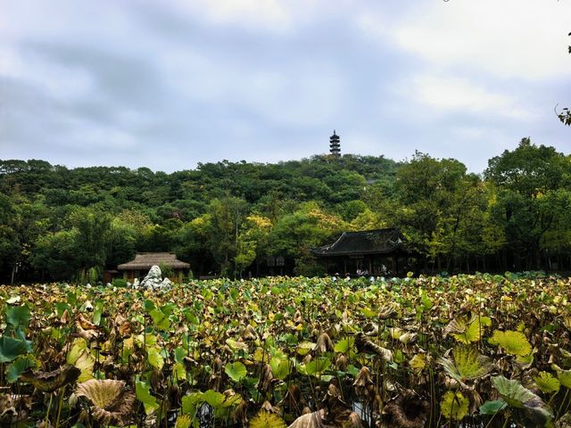 西施故里小眾打卡點 西施故里小眾打卡點